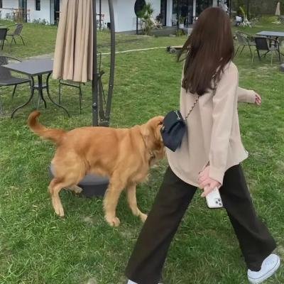 爱玛
